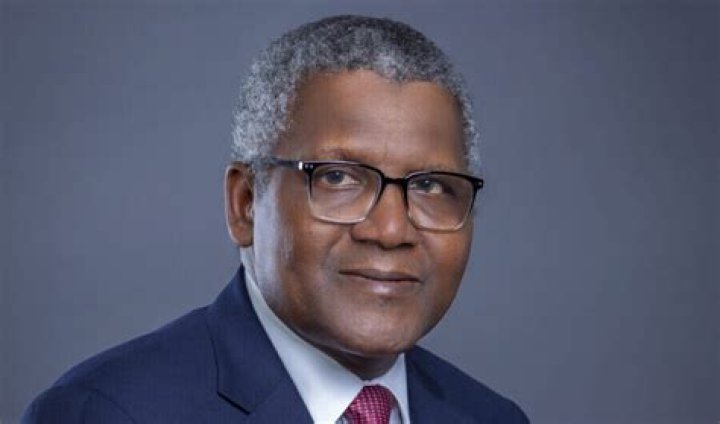 Adeleke Adedeji: Unveiling His Net Worth Projections For 2024
