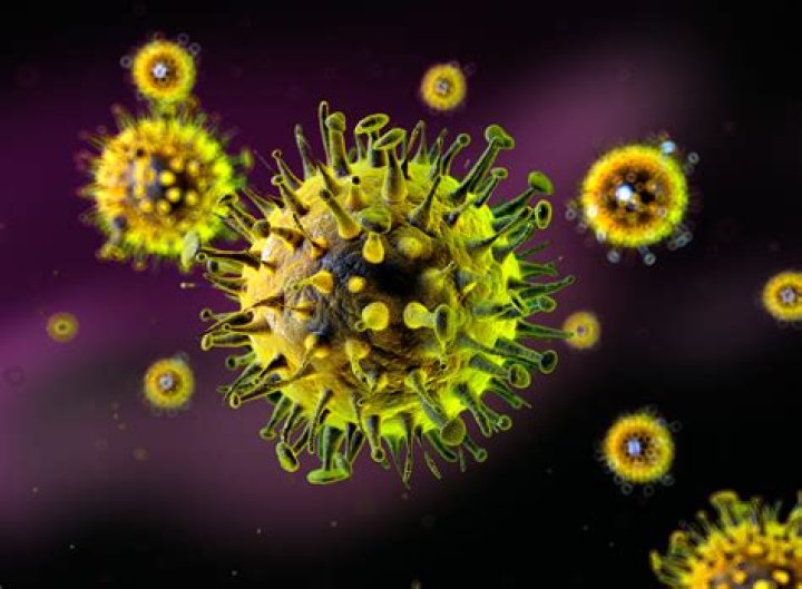 Comprehensive Map Of The Current Stomach Virus Outbreak