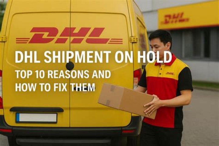 DHL Shipment Is On Hold: Understanding The Reasons And Solutions