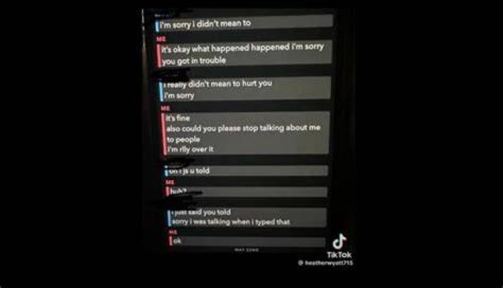 Discover Uncovered Evidence: Aubreigh Wyatt's Bullying Allegations