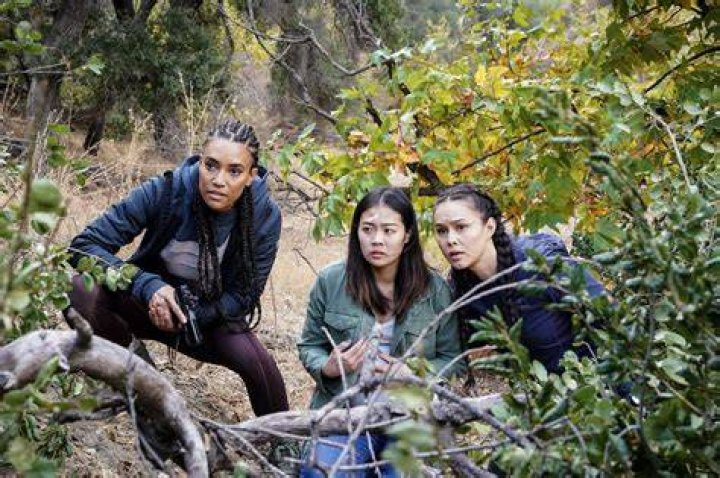 Discovering The Enigma: Anna Enger Ritch