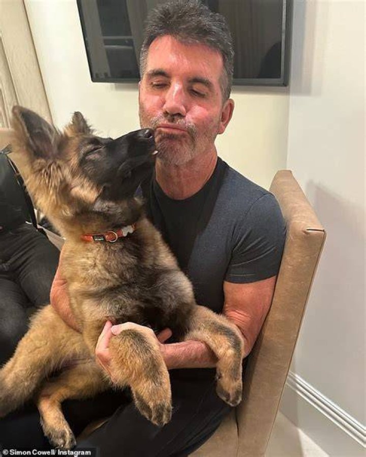 Discovering The Furry Companion: Simon Cowell's Dog Name