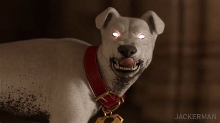 Discovering The World Of Jacker Man Animation