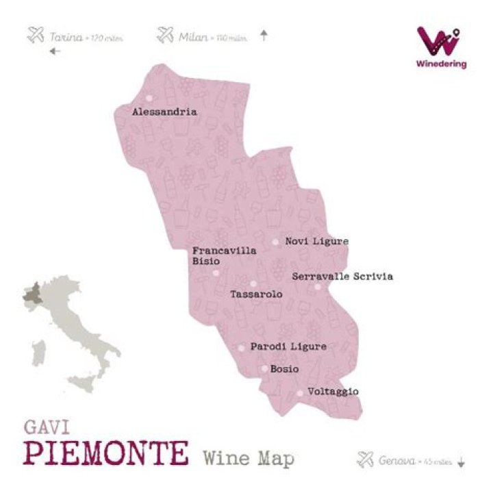 Exceptional Principe Gavi Wine: Your Guide To An Unforgettable Italian Experience