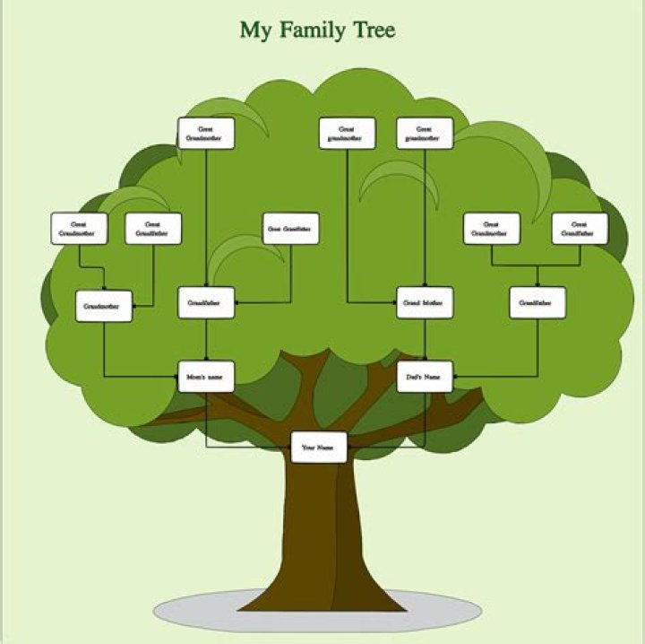 Exciting Ways To Start A Family With Yamal