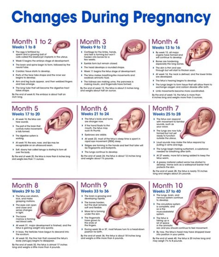 Exploring Sophie Rain's Pregnancy Journey