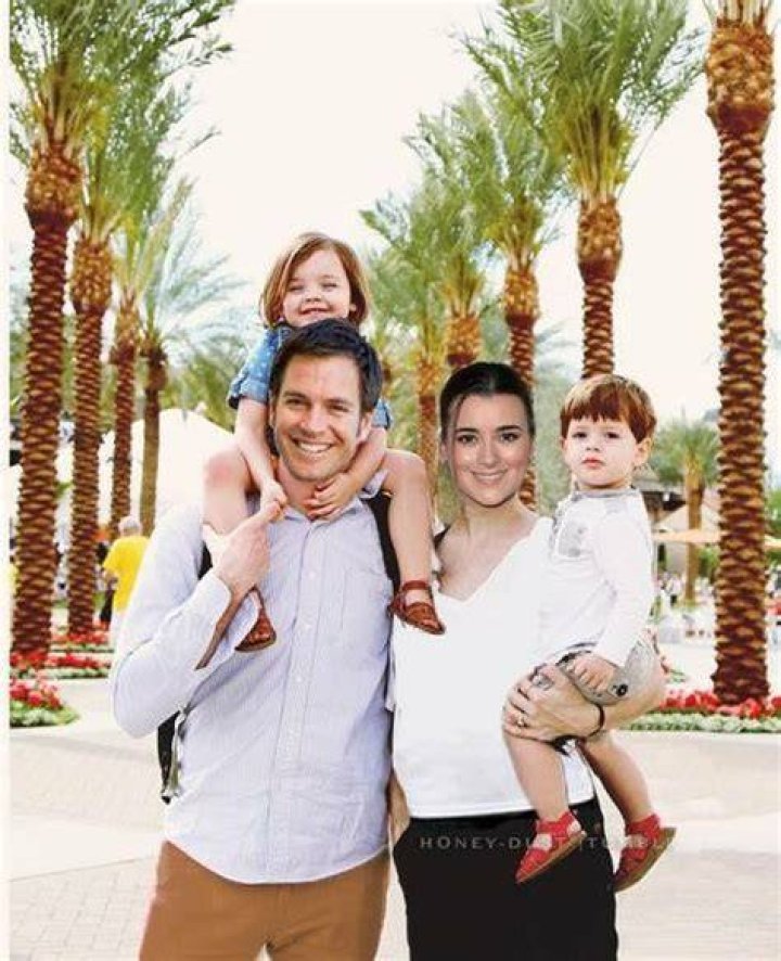 Exploring The Family Life Of Cote De Pablo: Does She Have Children?