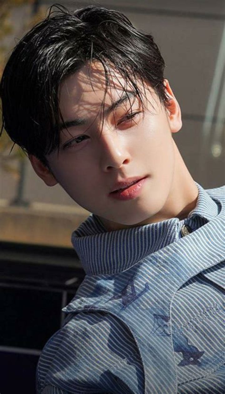 Is Cha Eunwoo Single? Exploring The Rumours