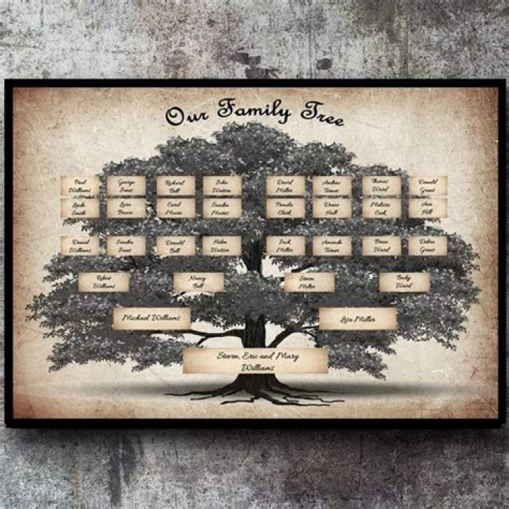 Jude Bellingham's Ancestry And Family Roots
