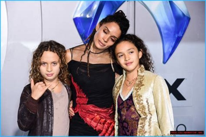 Lisa Bonet: A Glimpse Into Her Life Today In 2024