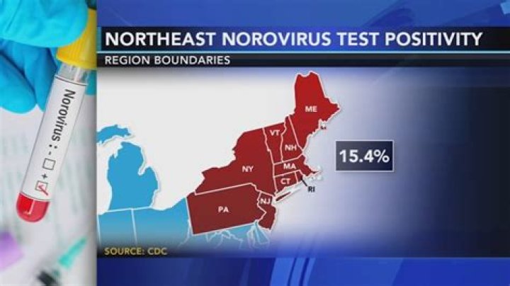 Mapping The Current Stomach Virus Outbreak Of 2024