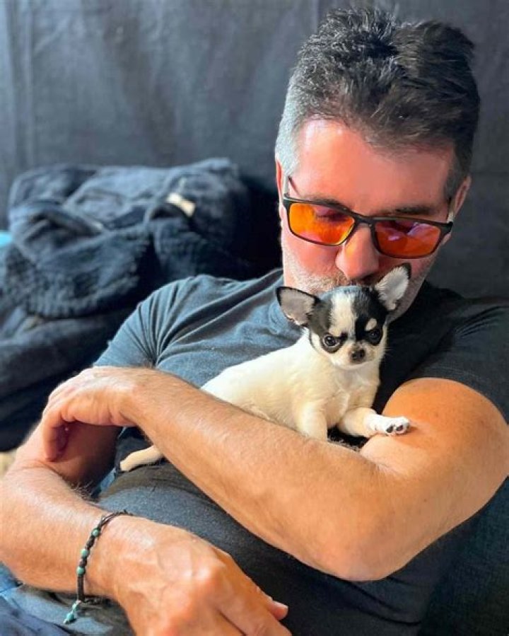 Simon Cowell’s New Puppy: A Heartwarming Addition To His Family