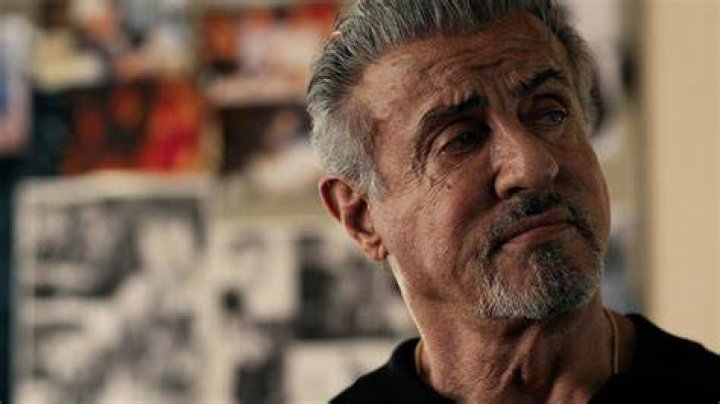 Sylvester Stallone: A Glimpse Into His Life In 2024