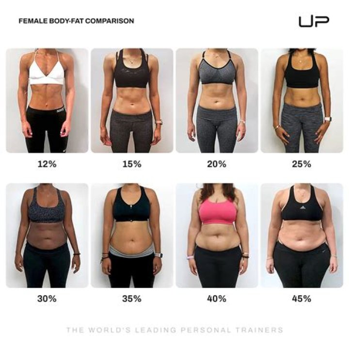 Taylor Swift's Body Fat Percentage: The Truth Revealed