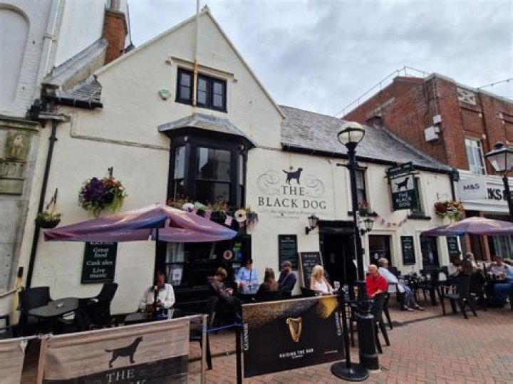 The Delectable Offerings Of The Black Dog Menu