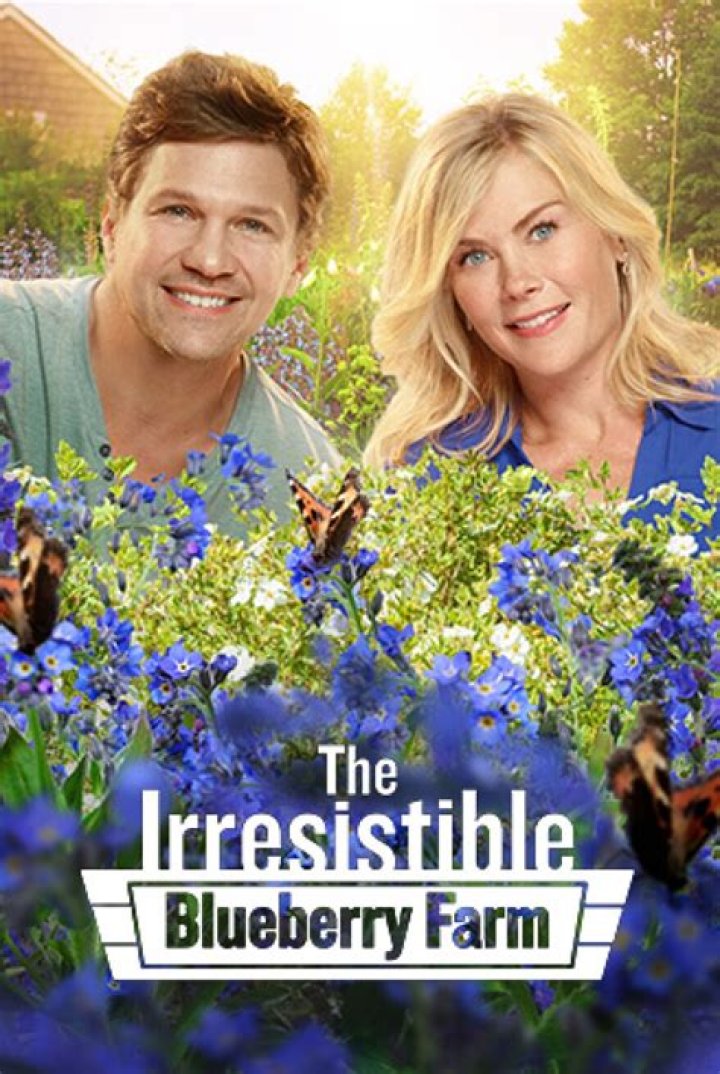 The Enchanting World Of The Irresistible Blueberry Farm Cast