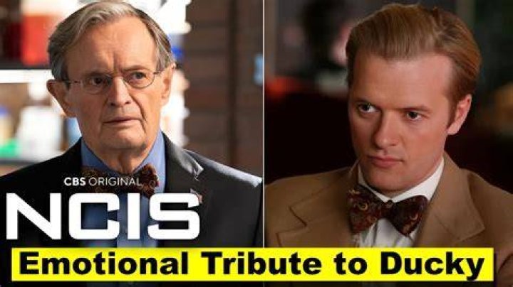 **The Enigmatic Charm Of Ducky In NCIS**