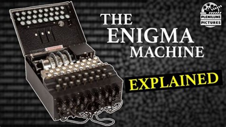 Uncovering The Enigma: Who Is Lori Petty?