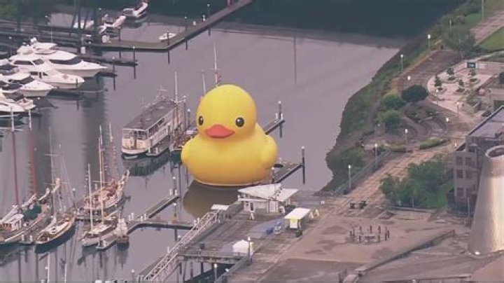 Uncovering The Ultimate Truth: The Exact Date When Ducky Departed This Earth