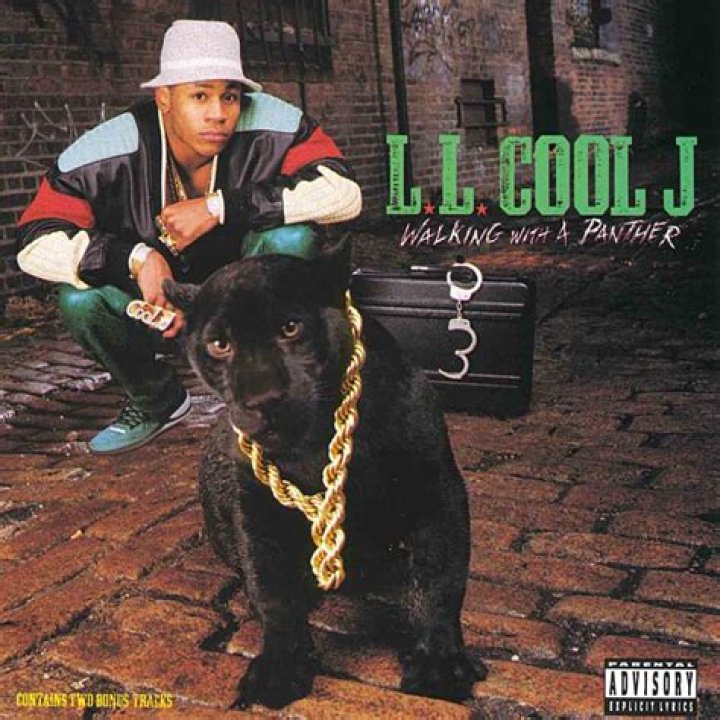 Unleashing The Thrills: LL Cool J In The Ultimate Shark Movie