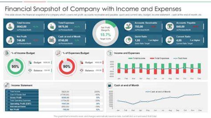 Unlock Financial Clarity: Cynthia's Financial Snapshot For Her Enterprise
