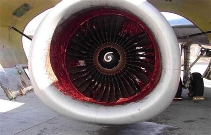 Unraveling The Air Astana Incident Engine Footage 2004