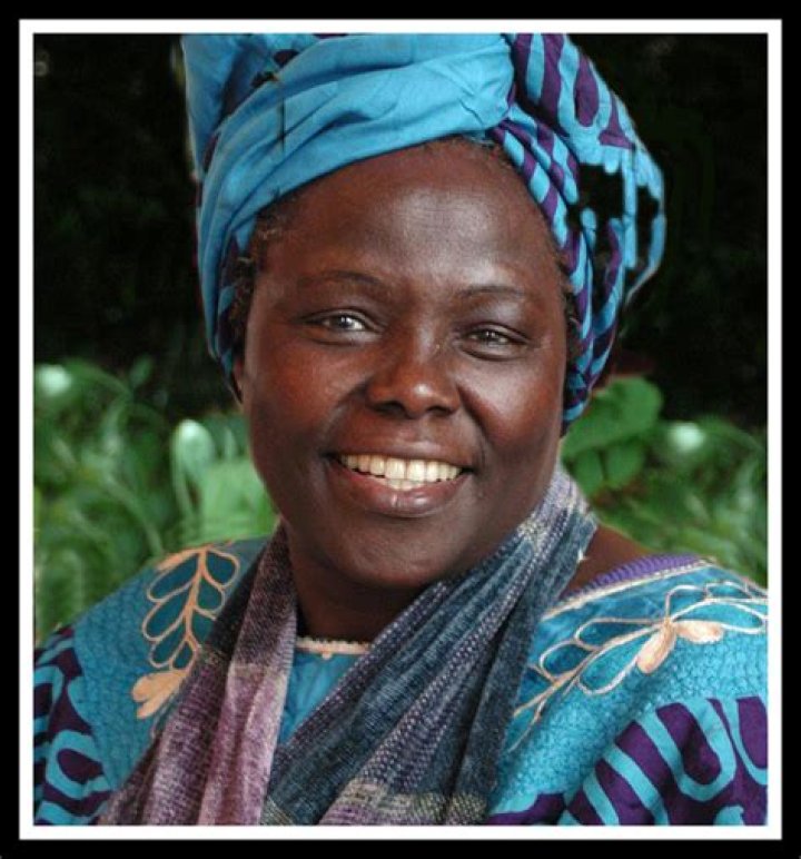 Unraveling The Life And Achievements Of Chido Nwokocha