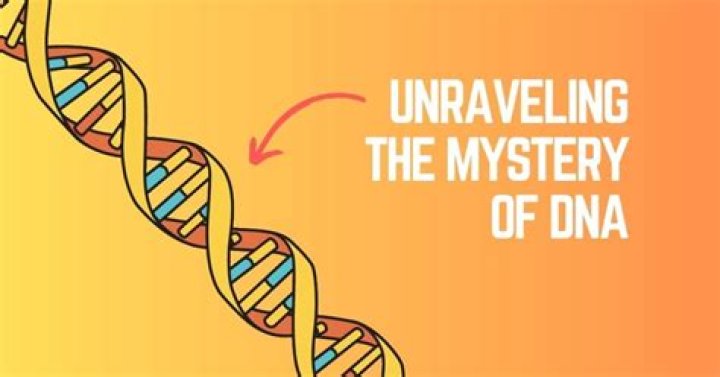 Unraveling The Mystery: Is Justin Fletcher A Criminal?