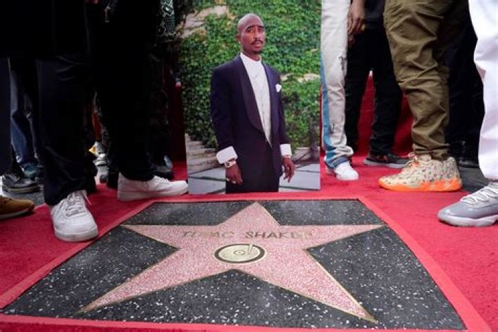 Unveiling Marky Mark: From Rapper To Hollywood Star