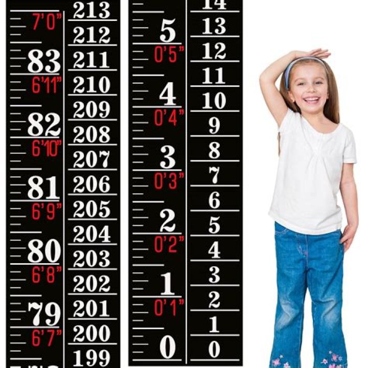 Unveiling Sabrina Carpenter's Height In Feet: The Definitive Measurement