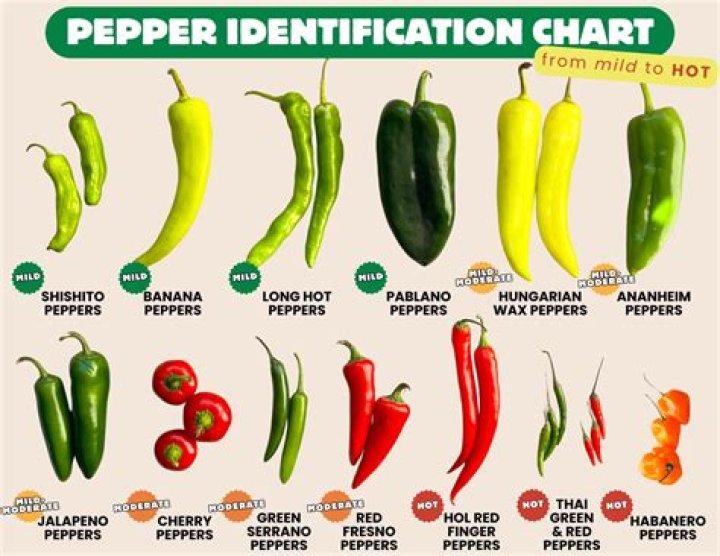 Unveiling The Enigma: Red Hot Chili Peppers Girlfriend 19