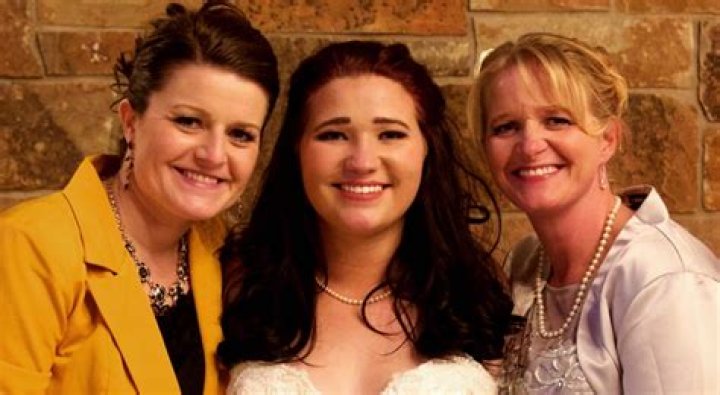 Unveiling The Life Of Robyn Brown: A Unique Sister Wives Perspective