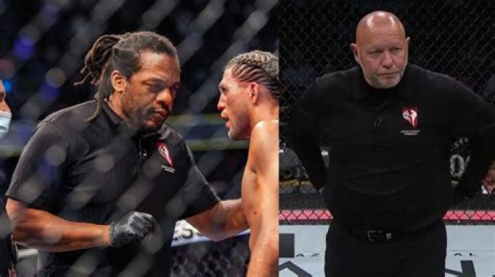 Unveiling The Mystique: Herb Dean Salary Per Fight