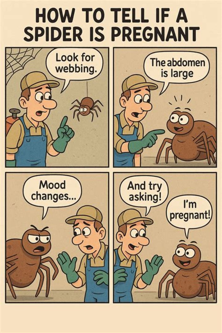 Unveiling The Secrets: How To Know If Spider Is Pregnant