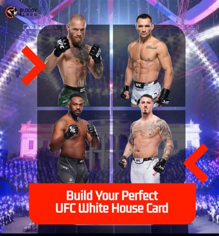 Unveiling The Thrills Of UFC 295 Card: What To Expect
